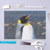Penguin Portrait Seidenpapier (Handwerk)
