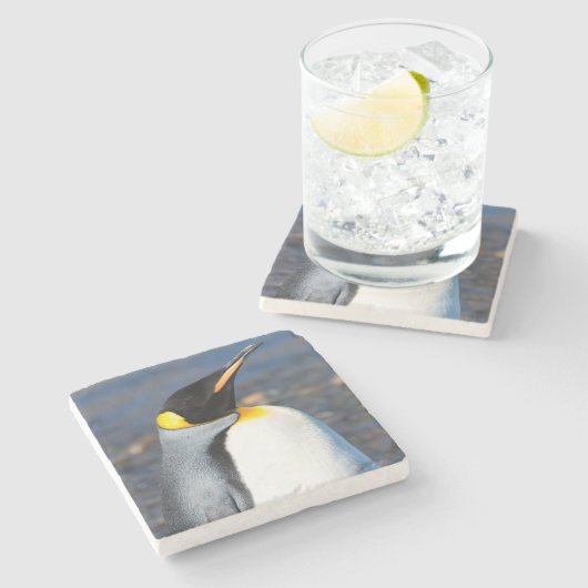 Penguin Portrait Steinuntersetzer (Seitenansicht)