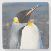 Penguin Portrait Steinuntersetzer (Vorderseite)