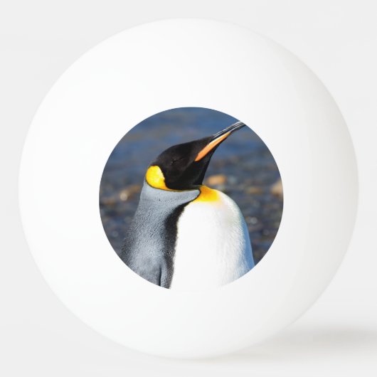 Penguin Portrait Tischtennisball (Rückseite)