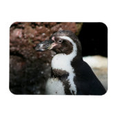Penguin Premium Magnet (Horizontal)