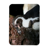 Penguin Premium Magnet (Vertikal)