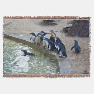 Penguin Relay: Pinguin Schwimm-Mannschaft, Decke