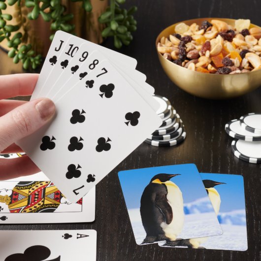 PENGUIN SPIELKARTEN (In Situ)