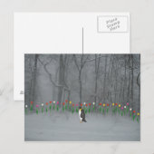 Penguin Spring Walk Postkarte (Vorne/Hinten)