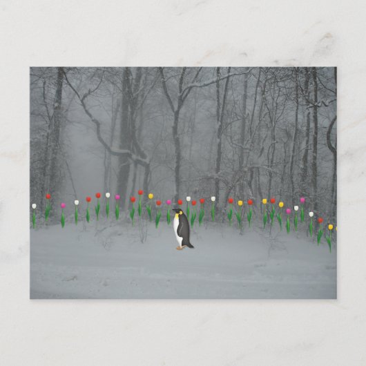 Penguin Spring Walk Postkarte (Vorderseite)