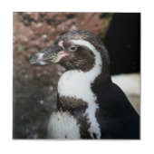 Penguin Tile Fliese (Vorderseite)