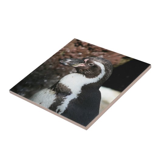 Penguin Tile Fliese (Seite)