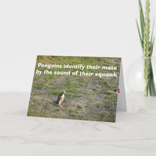 Penguin Valentine Feiertagskarte (Vorderseite)