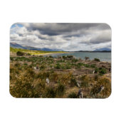 Penguinera Magnet (Horizontal)