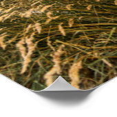 Penguinera Poster (Ecke)