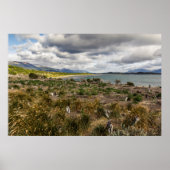 Penguinera Poster (Vorne)