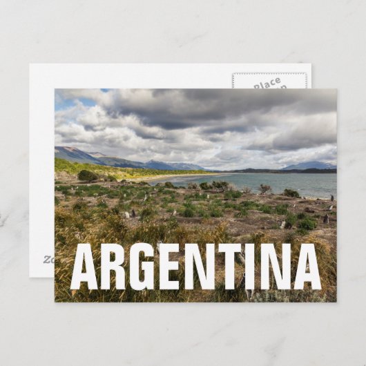 Penguinera Postkarte (Vorne/Hinten)