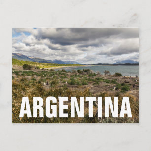 Penguinera Postkarte