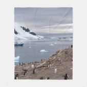 PENGUINS AM MEER FLEECEDECKE (Vorderseite)