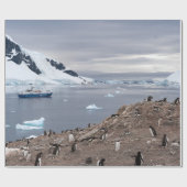PENGUINS AM MEER GESCHENKPAPIER (Flach)