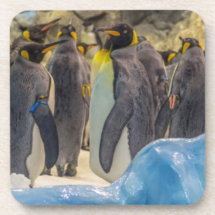 Penguins an den Zooharten PlastikUntersetzer Untersetzer