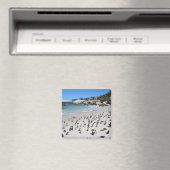 Penguins Boulders Beach | Südafrika Magnet (In Situ (Geschirrspüler))
