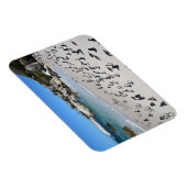 Penguins Boulders Beach | Südafrika Magnet (Rechte Seite)