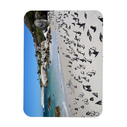 Penguins Boulders Beach | Südafrika Magnet (Vertikal)