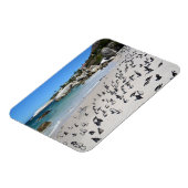 Penguins Boulders Beach | Südafrika Magnet (Linke Seite)