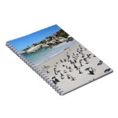 Penguins Boulders Beach | Südafrika Notizblock (Rechte Seite)