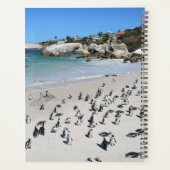 Penguins Boulders Beach | Südafrika Planer (Rückseite)