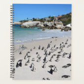Penguins Boulders Beach | Südafrika Planer (Vorderseite)