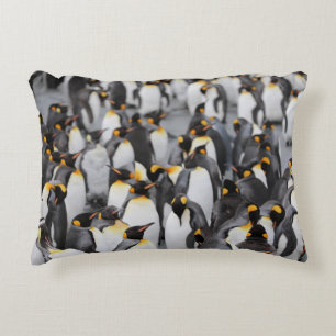 PENGUINS DEKOKISSEN