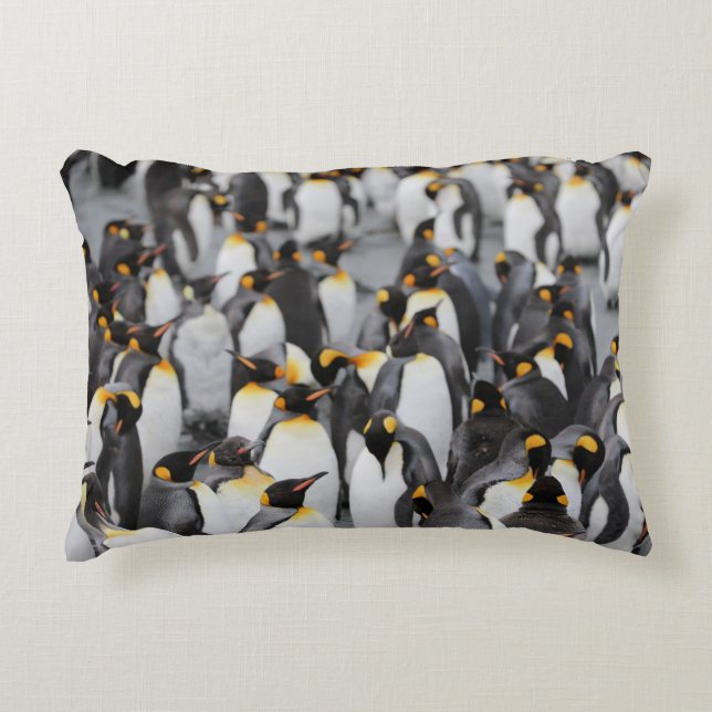 PENGUINS DEKOKISSEN (Vorderseite)