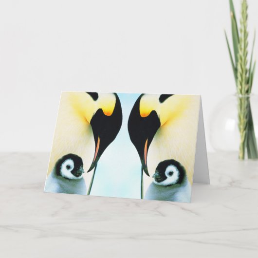 PENGUINS FEIERTAGSKARTE (Vorderseite)