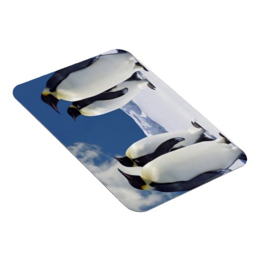 Penguins Magnet (Rechte Seite)