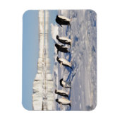 Penguins Magnet (Vertikal)