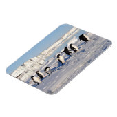 Penguins Magnet (Linke Seite)