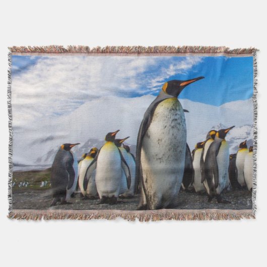 Penguins Marching Blue Sky Decke (Vorderseite)