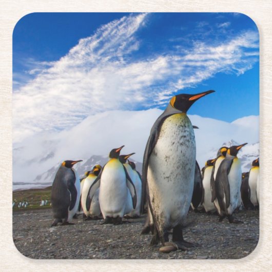 Penguins Marching Blue Sky Rechteckiger Pappuntersetzer (Vorderseite)