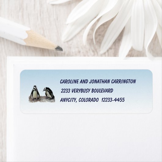 Penguins Rücksendeadresse (Insitu)