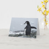 Penguinzilla Karte (Gelbe Blume)