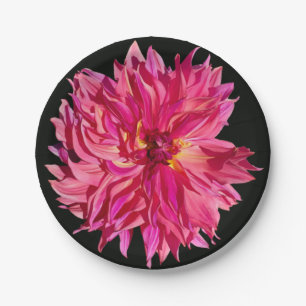 Penhill Dark Monarch dahlia Teller