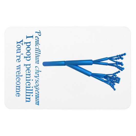 Penicillium Spaß Magnet (Horizontal)