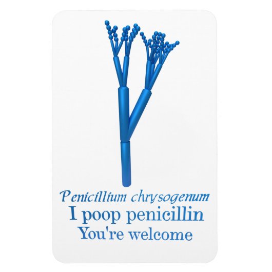 Penicillium Spaß Magnet (Vertikal)