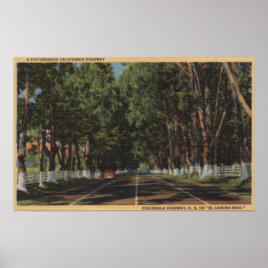 Peninsula Highway US 101 El Camino Real View Poster (Vorne)