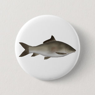 Peninsula-Karpfen Button