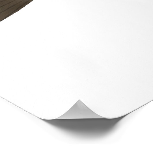 Peninsula-Karpfen Poster (Ecke)