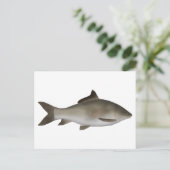 Peninsula-Karpfen Postkarte (Stehend Vorderseite)