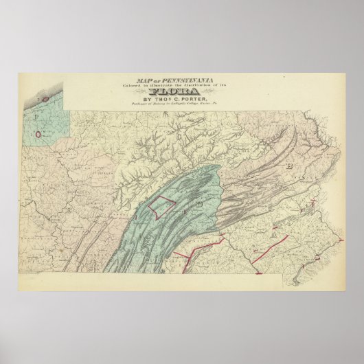 Penn flora poster (Vorne)