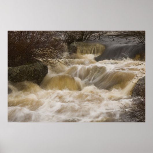 Pennant Brook Fine Art Print Poster (Vorne)