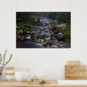 Pennant Brook III Fine Art Print Poster (Küche)