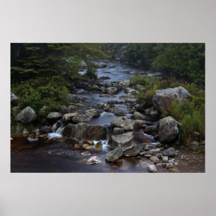 Pennant Brook III Fine Art Print Poster