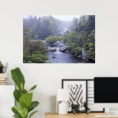 Pennant Brook in Fog Fine Art Print Poster (Heimbüro)